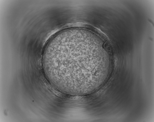 X0000102771166200809021023