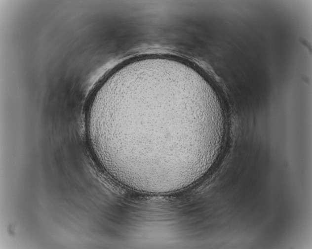 X0000102771167200809021023