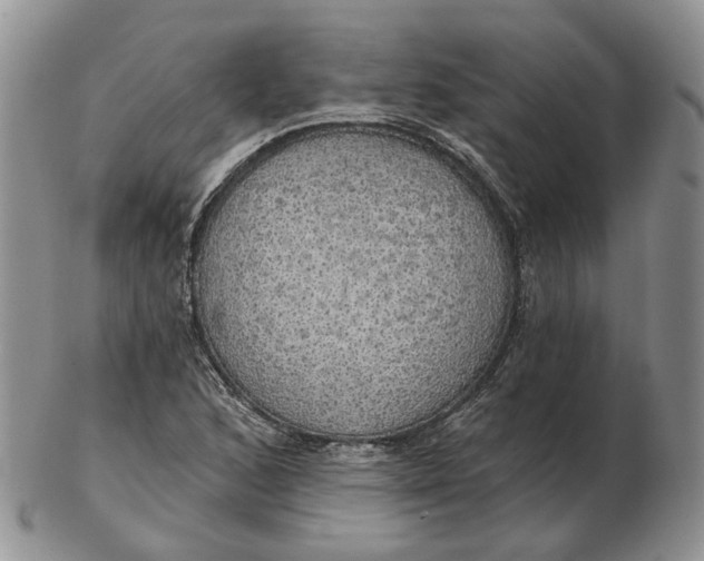 X0000102771168200809021023