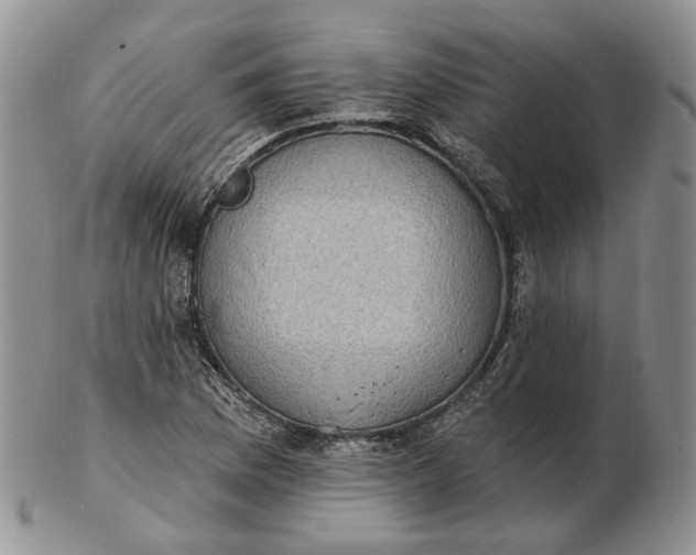 X0000102771169200809021023