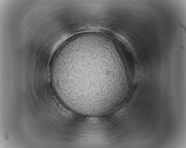 X0000102771172200809021023