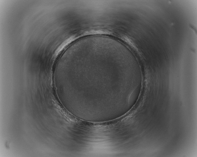 X0000102771173200809021023