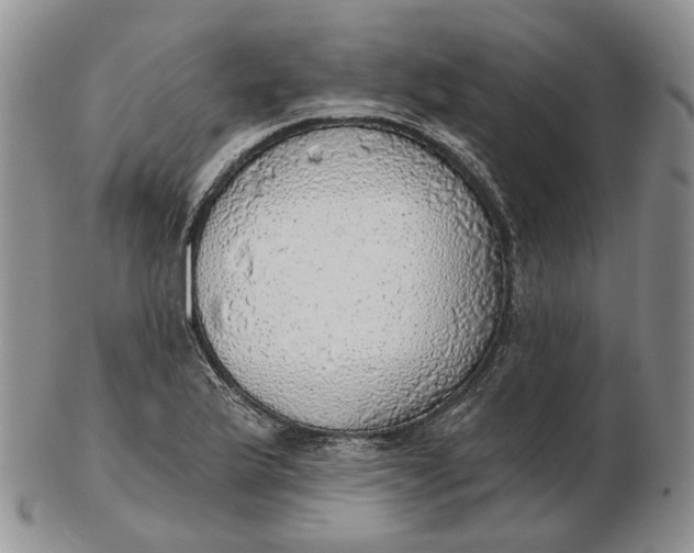 X0000102771175200809021023