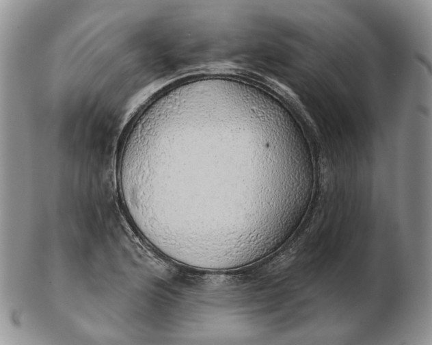 X0000102771176200809021023