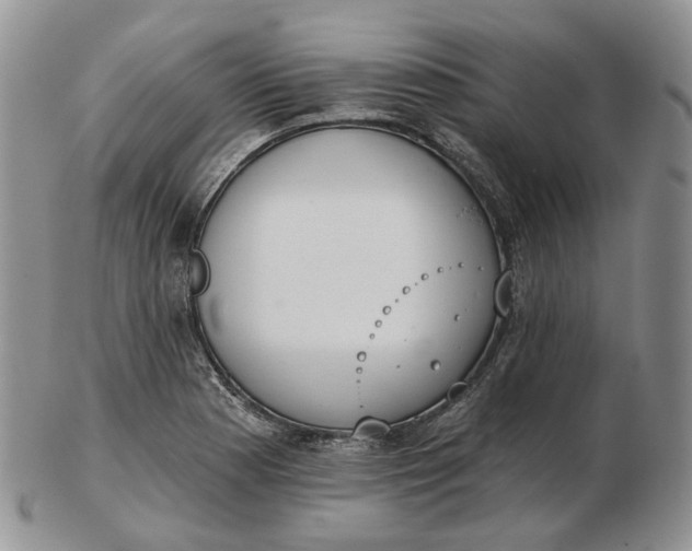 X0000102771177200809021023