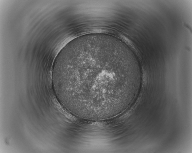 X0000102771178200809021023