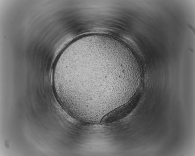 X0000102771180200809021023