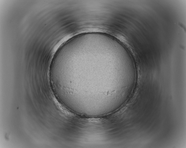 X0000102771181200809021023