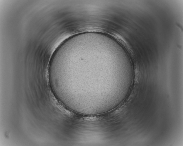 X0000102771182200809021023