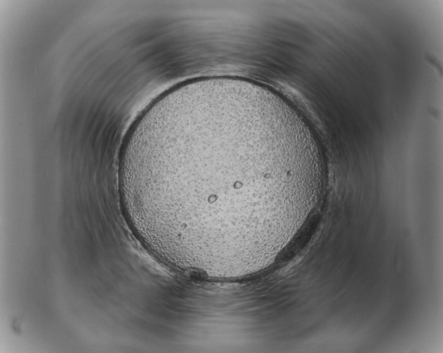 X0000102771184200809021023