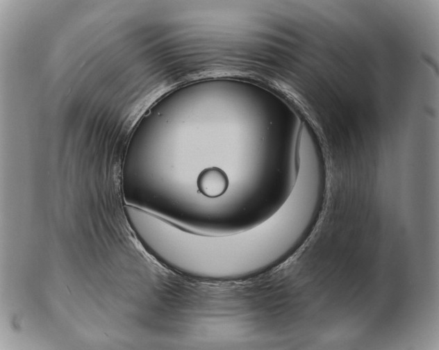 X0000102771185200809021023