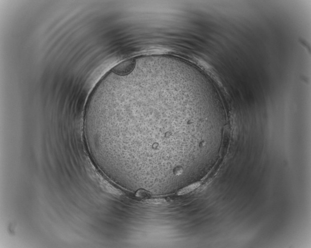 X0000102771186200809021023