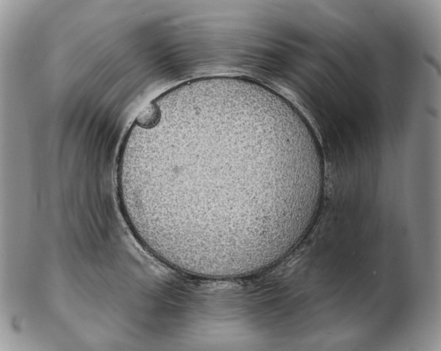 X0000102771187200809021023