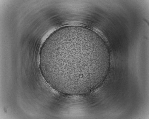 X0000102771188200809021023