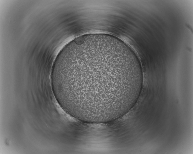 X0000102771189200809021023