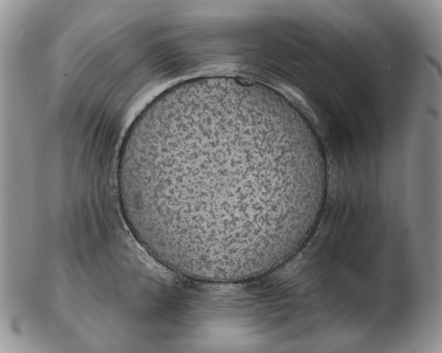 X0000102771192200809021023