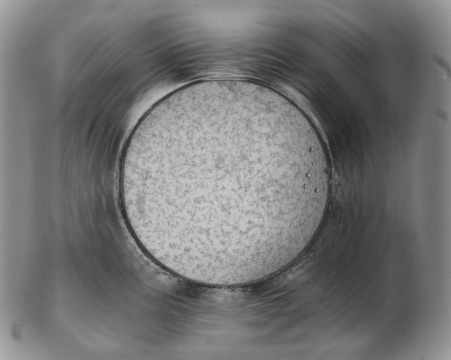 X0000102771195200809021023