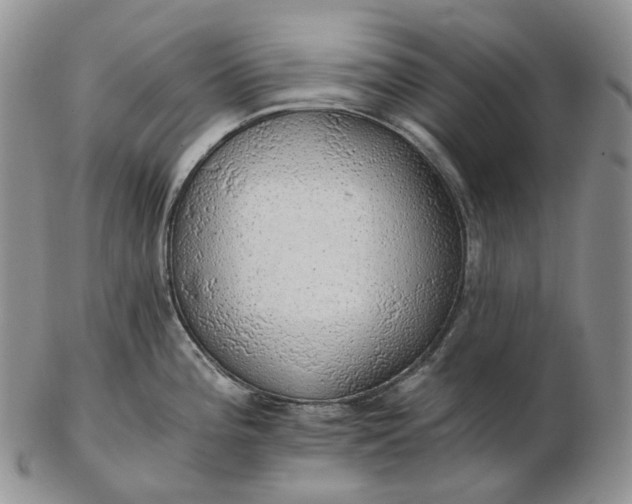 X0000102771196200809021023