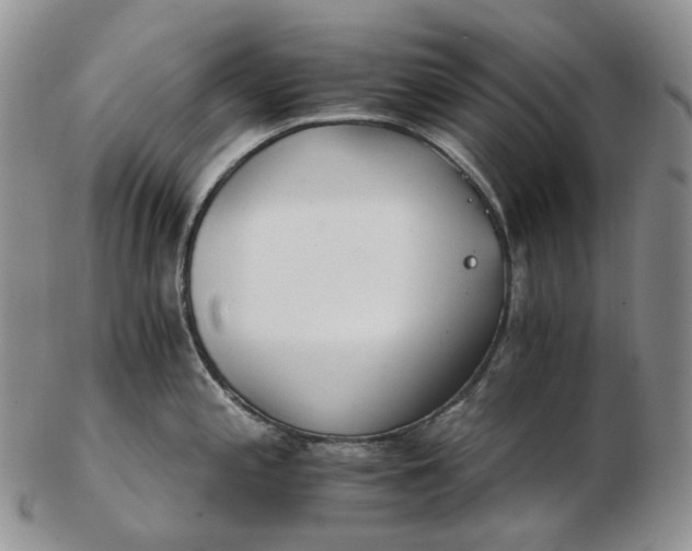 X0000102771197200809021023