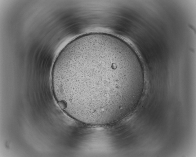 X0000102771199200809021023