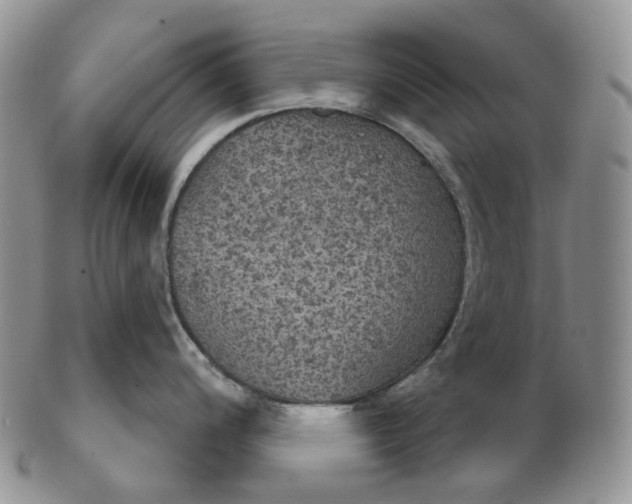 X0000102771200200809021023