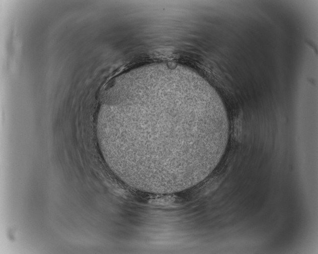 X0000102771201200809021022