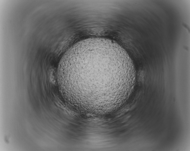 X0000102771202200809021022