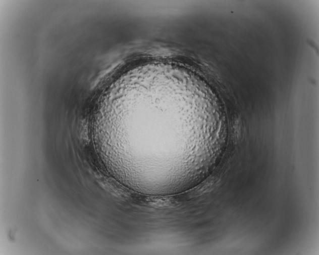 X0000102771205200809021022