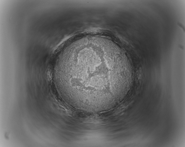 X0000102771206200809021022