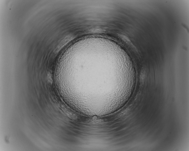 X0000102771209200809021022