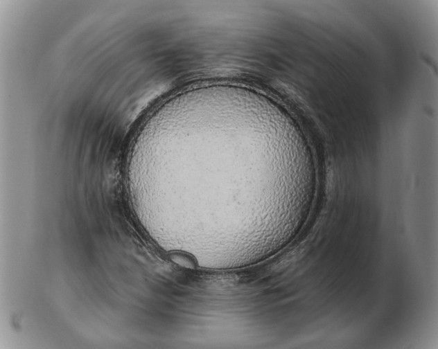 X0000102771210200809021022