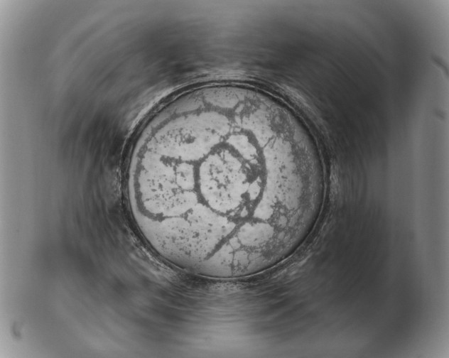 X0000102771212200809021022