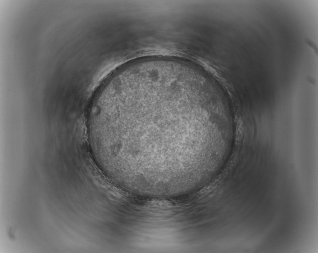 X0000102771215200809021022