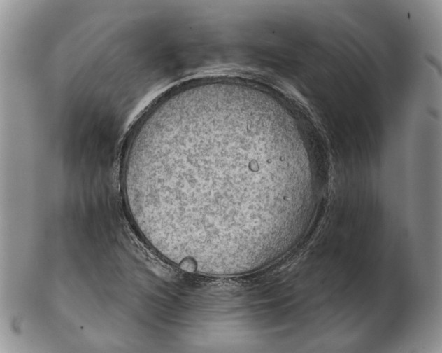 X0000102771216200809021022