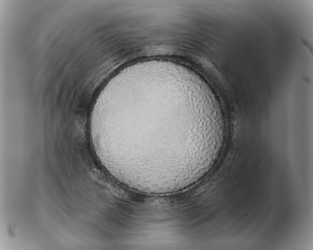 X0000102771217200809021022