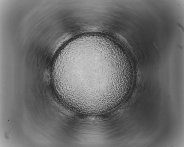 X0000102771218200809021022