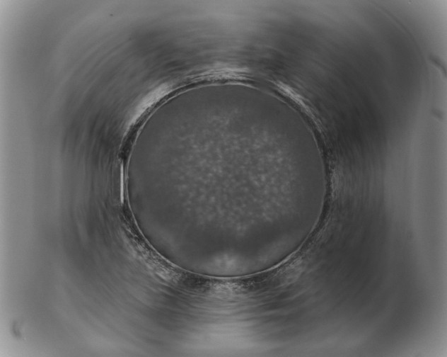 X0000102771219200809021022