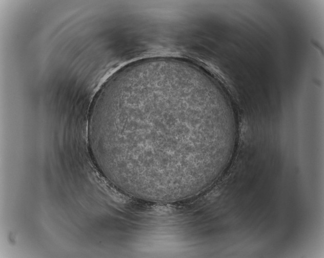 X0000102771220200809021022