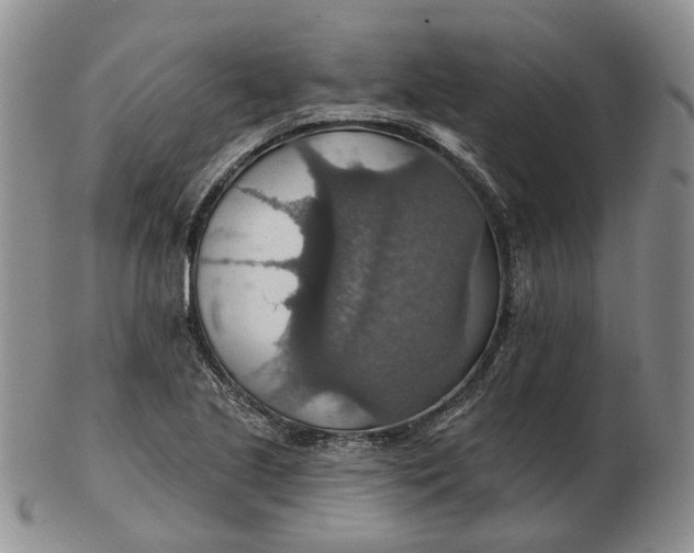 X0000102771221200809021022