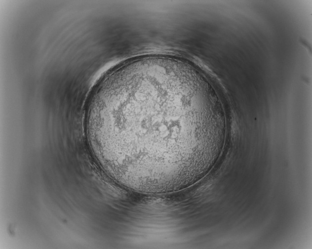 X0000102771222200809021022