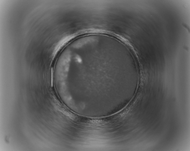 X0000102771223200809021022