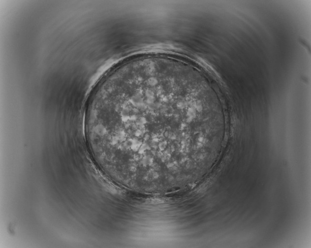 X0000102771224200809021022