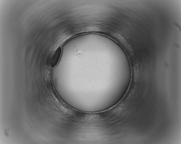 X0000102771225200809021022