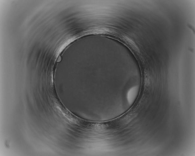 X0000102771226200809021022