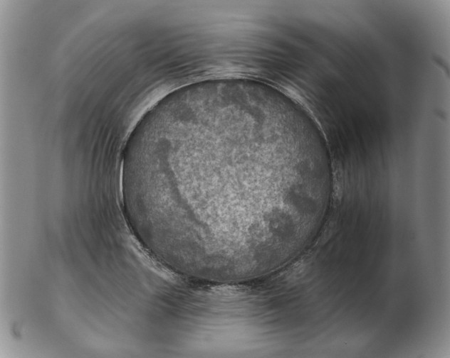 X0000102771227200809021022