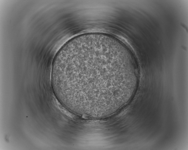 X0000102771228200809021022