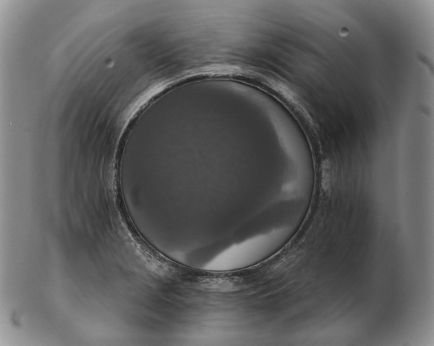 X0000102771229200809021022