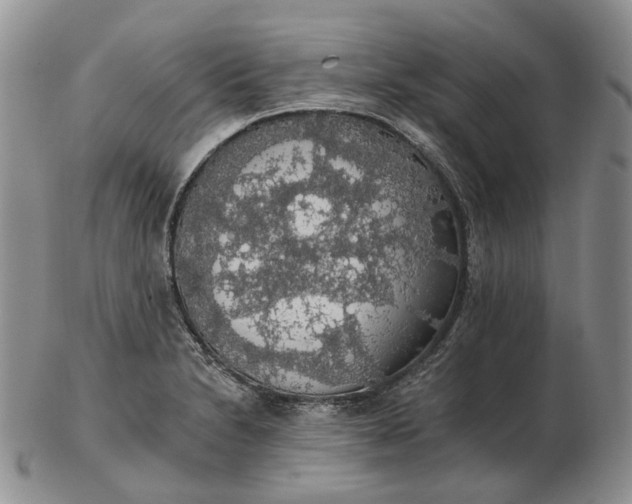 X0000102771230200809021022