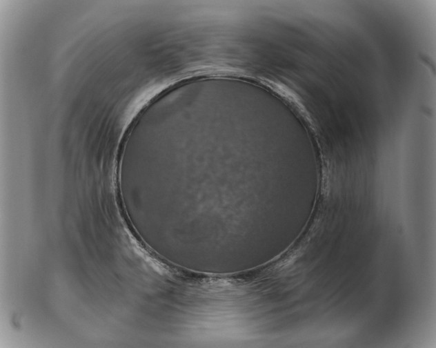 X0000102771231200809021022