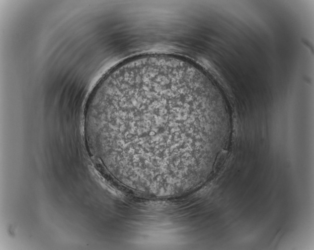 X0000102771232200809021022